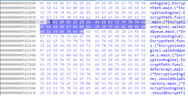Hex view showing Go symbol references