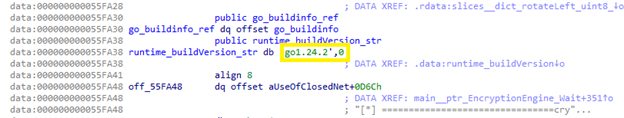 Go build metadata and runtime version